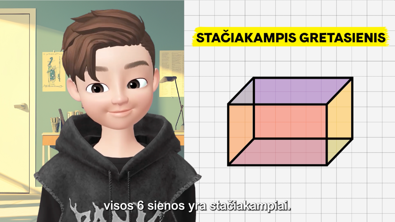 Stačiakampis gretasienis (sandara, matmenys, išklotinė)
